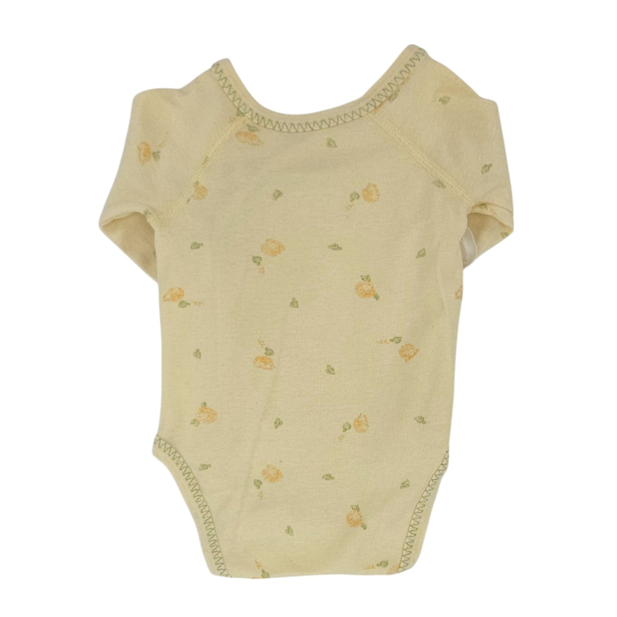 Body