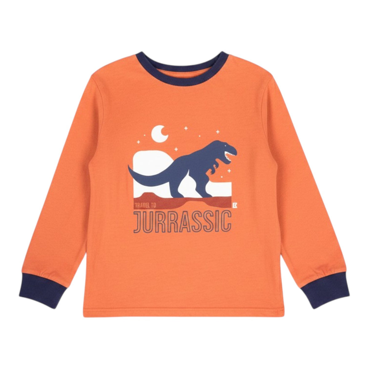T-shirt manches longues
