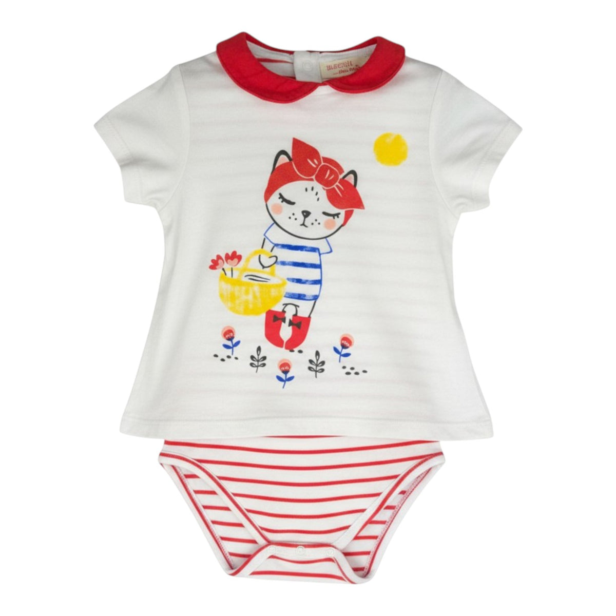 Ensemble Body
